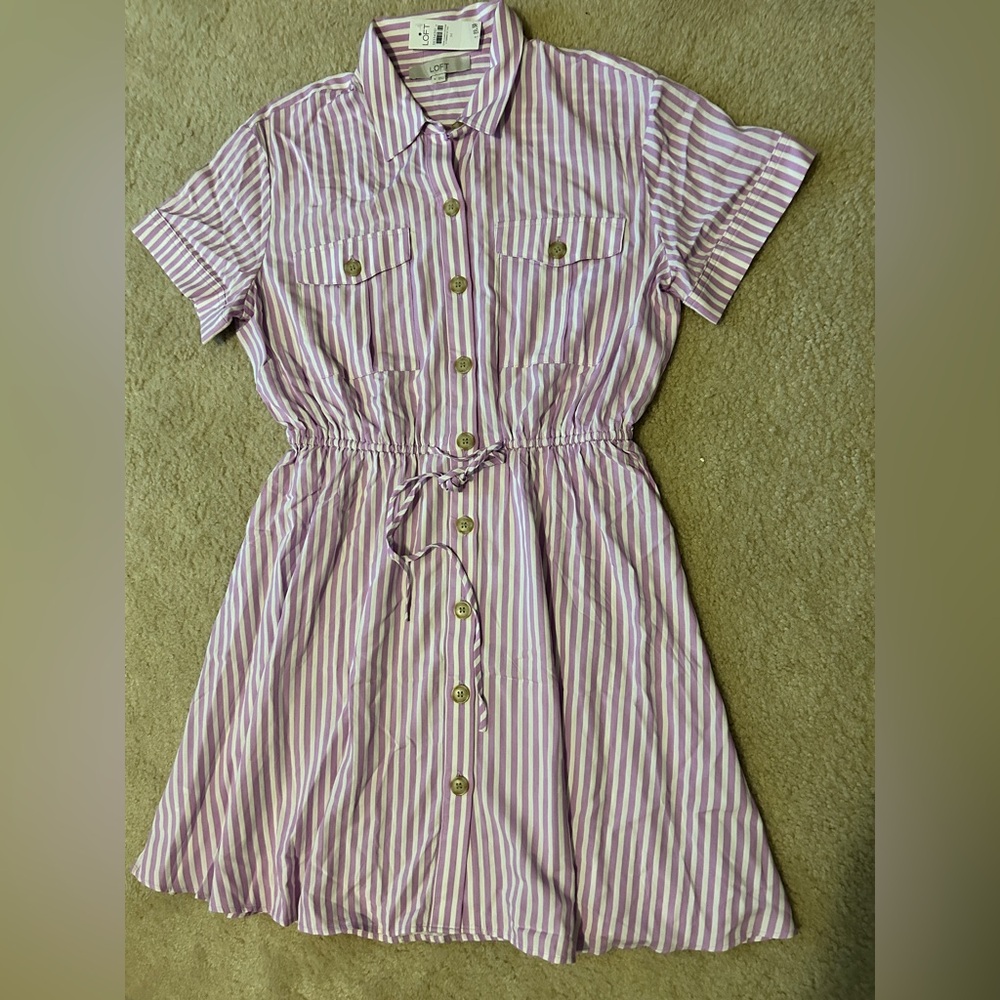 Women’s Loft Shirtdress